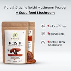 Mark of Excellence & Premium Quality, Rooted Actives’ Organic Reishi Mushroom Powder is extracted with the traditional method to keep Nutrients & Bioactive Compounds intact. Shop Now: https://bit.ly/3rSzdJC