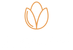 Travelseed is a corporate travel Melbourne, that provides amazing service to their clients at reasonable price.
