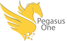 Looking for software developers in Los Angeles? Pegasus One is one of the best software companies in Los Angeles with an expert team of web developers. We provide a wide range of services including website design and development, mobile application development, web application development, custom software development, CRM development, and Microsoft .NET Development.