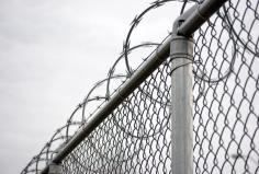 At Razor Fencing, we pride ourselves on being a supplier of quality Barb Wire at competitive pricing. If you're thinking to Buy Barb Wire, then visit the corporate. We manufacture barb wire, razor wire fence, wire fence, concertina wire coils, bird spikes, and plenty more. Check the official website of the corporate for further information. 