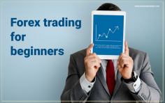 Blockchain Tradein is a best Forex Trading Platform for beginners those who want to learn forex trading. For More Visit us:https://blockchaintradein.com/forex-trading-for-beginners/