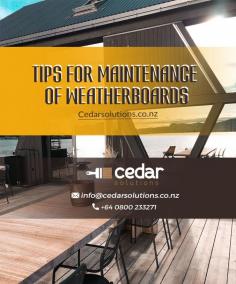 We are highly trained Specialists Cedar house maintenance specialists in Auckland

Helpful assistance for cedar cladding maintenance and Cedar coating Auckland, along with a range of other timbers. Our team comprises of highly trained Cedar house maintenance specialists Auckland who are well known in the industry for their practical approach and tailored solution for cedar clad home.