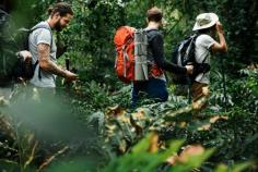 The treks feature rare views of the valley from vantage viewpoints, adventurous trails, and exquisite waterfalls. Treks begin daily early in the morning and take our guests to one of two places.