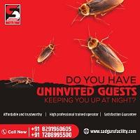 Pest Control Services in Borivali, Sanitization Services, Cockroach and Ant Control Services, Pest Control Services in Mumbai, Lizard Control Services, Bed Bugs Control Services, Termite Control Services, Cockroach Control Services, Pest Control Services in Thane, Pest Control, Lizard and Spiders Control Services, Sadguru Facility, Ratguard, Pest Control Services, Rats and Rodents Control Services, Pest Control Near Me, Bird Netting Control Services, Mosquito Control Services, Ratguard Control Services, Herbal Pest Control, Disinfection Services, Pest Control Services in Kandivali, Best Pest Control Services, Pest Control Services in Andheri, Best Pest Control Services in Borivali, Pest Control Services in Powai, Commercial Pest Control, Pest Control Services in Dadar, Residential Pest Control, Peat Control Services in Malad, Professional Pest Control, Pest Control Services in Dahisar,Pest Control Services in Goregaon, Pest Control India,  Sadguru Facility Services, Sadguru Pest Control. Call: 7208995500 / 8291960605