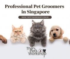 Pet groomers in Singapore offer a variety of services that can benefit both you and your pet. Pet grooming is not only about keeping your pet clean and healthy, but also about preventing future health problems. Pet groomers are trained to spot signs of health problems, such as skin conditions, fleas, and ear infections. They can also provide advice on how to best care for your pet. In addition, pet groomers can help to reduce the amount of Shedding your pet experiences. Pet grooming is an important part of Pet ownership, and hiring a professional Pet Groomer can make Pet ownership easier and less stressful.