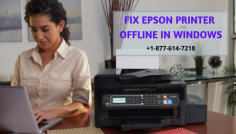 Epson printer offline in windows issue can be caused due to lack of communication between printer and pc, low network connection, outdated printer drivers and more. Fix the Epson printer not connecting to the window issue with simple steps. Follow the steps to fix the Epson printer offline in the window issue. Contact the Epson printer experts through Free Live Chat or toll-free at +1-877-614-7218.