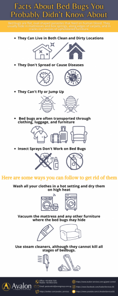 Bed bugs are one of the major problems you will consider every time you build a house. Protecting your properties and families' health is a must. Contacting bed bugs control in Singapore closely can help you eradicate the infestation and prevent them from coming back.