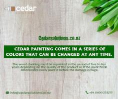 Are you looking for the best Cedar staining in Auckland?

Stains are an effective way of providing a barrier to the harsh UV rays but when you avail our services for Staining cedar cladding Auckland, we provide guidance to ensure the colour tones compliment the surroundings of your home or building. Call us for a free on-site assessment if you are looking for Cedar staining Auckland.

