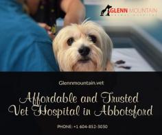 Are you looking for a local Vet in Abbotsford? Call us for more information

We have a team of Emergency Vet In Abbotsford who can help you 24 hours to manage the health problems of your vet and bring them back in great shape. Our Animal Hospital Abbotsford offers additional services including radiology, ultrasound, and breeding consultations. Call us today.  