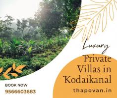 Kodaikanal holds the very nature of attracting people to visit after summer. Though there are many people who love Kodaikanal at all seasons. As there are numerous beautiful spots to visit, a day or two is not sufficient enough. 