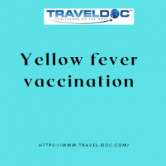 Yellow fever can be fatal. About 8% of people who get yellow fever die from it.

Know more: https://www.travel-doc.com/service/yellowfever/