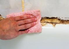 Looking for the best Mold Removal and Remediation experts in Baltimore MD? Don't worry, The Mold Removal Baltimore Maryland is here for you. Our team of experienced mold removal pros can handle both residential and commercial projects. We can tackle anything from flooded basements, drywall and basement mold inspections, to drywall repair. Contact us today for your no-risk quote!