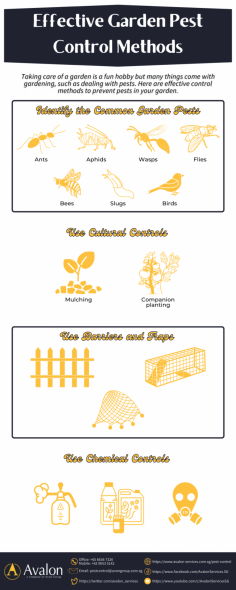 Taking care of your garden requires a lot of effort. Garden pests are one of the major nuisances in maintaining your garden to be safe and beautiful. This Infographic helps you identify the common garden pests and the effective pest control methods you need to know.