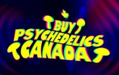 Shop - Buy Psychedelics Canada