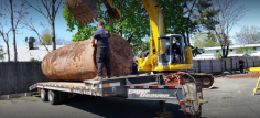 Simple Tank Services offer underground storage tank (UST) removals from residential and commercial properties in New Jersey. We can handle the project from start to finish. Contact us for more information regarding oil tank removal services. 