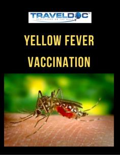 Yellow Fever is a serious viral infection that’s usually spread by a type of daytime biting mosquito known as the Aedes aegypti. It can be prevented with a vaccination.

Know more: https://www.travel-doc.com/service/yellowfever/