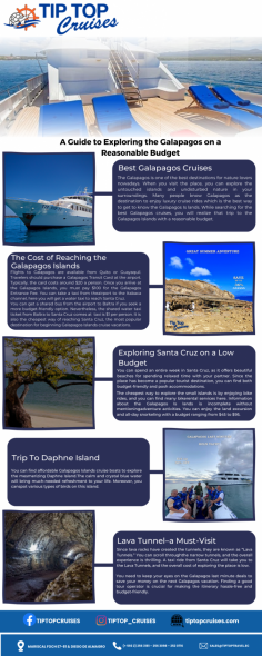 Infographic: A Guide to Exploring the Galapagos on a Reasonable Budget


The Galapagos is one of the best destinations for nature lovers nowadays. When you visit the place, you can explore the untouched islands and undisturbed nature in your surroundings.

Know more: https://www.tiptopcruises.com/galapagos-cruises/