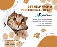 If you are looking for Kamloops Animal Hospital contact us today

If you are looking for a progressive Kamloops Animal Hospital that cares for dogs and cats then you are at the right place. We can help you if you need Emergency Vet Kamloops services for your pet's illness or injury along with other regular services like consultations, vaccinations, digital radiology, and surgical procedures.