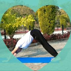 Simple yoga aasans to practice in morning hours Kick start your morning with anliveda energy morning hours Learn yoga online with best trainers|Yoga poses|yoga