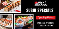 Attractive Flavor With Sushi Specials

Pick the tasty foods you love to eat with our delicious sushi specials prepared by our expert chefs at Sushi Yama. To know more details, mail us at sushi@sushiyamasd.com.