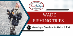 Get Ready For A Fly Fishing Wade Trip!

A fly fishing wade trip offers anglers a chance to learn and concentrate on fly fishing techniques with a guide. To learn more please call us at 970-306-6255 or visit our website.