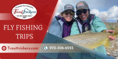 Great Venture With Fly Fishing Trips

If you are looking for a great vacation, then book a fly fishing trip with Trout Trickers. We can take care of everything so all you have to do is fish! For more information, email us at trouttrickers@gmail.com.