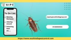 Do you have an infestation of cockroaches? SIPC cockroach control can help. SIPC comes to your home and does everything. First, we'll do a thorough inspection to find out where the roaches are coming into your home. Then, we'll use the right bait and pesticide to get rid of cockroaches. Call us now to stop the cockroach infestation.  call SIPC at 8089000023
Visit: https://www.southindiapestcontrol.com/cockroach-control-bangalore/
