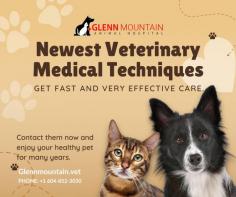 Nutrition House Abbotsford can help you learn about the right nutrition

At our Nutrition House Abbotsford we can help you learn about the right nutrition balance for your dog or cat young or old, healthy, or facing the challenges of diabetes or obesity. Pet Nutrition Abbotsford plays a vital role in maintaining the quality of life of your dog or cat.