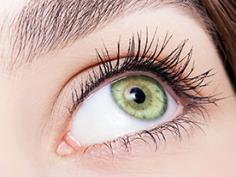 Put your lashes

https://mastodon.online/web/@lashline 

To apply the glue to individual eyelashes or smaller groups of eyelashes, use tweezers and a glue pod in Canada to dip the tip of each individual eyelash into the glue, and then attach it to the base of your natural eyelashes as closely as you can without causing damage.

