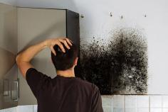 Stop experiencing the adverse effects of the growth of mold! Instead, hire our mold removal Lewisville professionals to control the mold growth in your home.