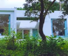 Cottages for people who want to stay where they are traveling to. Here, Thapovan offers the best cottages in Kodaikanal, Kodaikanal cottages at lowest price, Kodaikanal top cottages, and the best cottage for their families.
