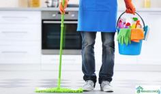 If You are looking for house cleaning services in washington dc Maids 2 Mop DMV is the best option for you. ur house cleaners get professional training & spot checks performed by managers ensure that everything is done properly. And every cleaner goes through a background & vetting process. We can make your place sparkle. Contact us today to receive a free quote. 