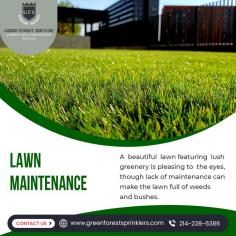 Commercial Landscape Management Services

Green Forest Sprinklers offers commercial landscaping services like residential landscape services in Texas. Most companies and industrial plants want to improve the aesthetic appearance of their properties. At the same time, investing in landscaping also helps develop an eco-friendly image. 

Know more: https://greenforestsprinklers.com/commercial-landscaping-service/
