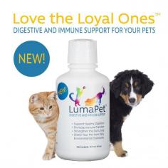 Frequently Asked Questions About LumaPet Supplement

LumaPet takes a holistic approach and helps strengthen your pet’s gut barrier and maintain their immune system to create a firewall from everyday exposure to environmental factors. It supports healthy digestion, promotes immune function, and strengthens the gut lining to protect your pet from harmful bacteria. It is naturally gluten-free. Get detailed information about this healthiest pet food product here.
https://bit.ly/3CAxA9a