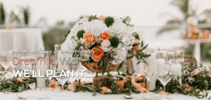 It is superlative to visit the Vizcaya Museum wedding venue when they are accommodating a dual-party and examine how sound transmits and whether there are main concerns you should be concerned about. 
Read More at : https://hautecouture-events.com/2022/10/20/miami-banquet-hall/ 