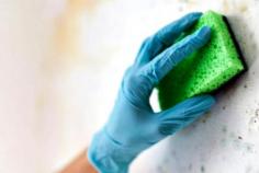 Since we have a skilled team with state-of-the-art equipment, we take pride in our mold removal in Tulsa OK services for residential spaces. Early detection can help reduce health risks and your total expenditure. Thus, it would be best if you got in touch with us as soon as you notice the following signs in your home: Mold Odor: Mold has a characteristic musty smell. If you notice a strange odor in your house, look for its source. The earthy smell might be coming from your carpet, walls, bathtub, behind the curtains, or insulated fixtures. Dark Spots: Mold isn’t always black. You may notice dark white, green, and yellow spots. If left unchecked, this growth can spread to different areas in your house, becoming a bigger concern. 