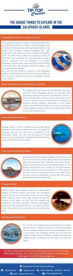 Infographic:- The Unique Things to Explore in the Galapagos Islands

The elegant flamingo birds have always been the major attraction of the Galapagos Islands. You can take small Galapagos cruises and explore the beautiful islands in search of these birds. When you meet them, they will not be alone. Typically, you will see flamingos in a big group enjoying fishing together. According to the recent census, around 400 flamingos live across the Galapagos Islands. However, Isabelle Island is one of the best places to see these beautiful birds.

Know more: https://www.tiptopcruises.com/tour-item/tip-top-ii-2/
