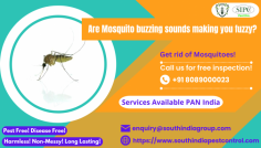 If you are looking for mosquito control services in Goa, you have come to the right place. Mosquito control is an important aspect of public health in Goa and we are here to help you eradicate the problem. . Call us now at +91 8089000023 to know more about our mosquito control services in Goa!
Visit: https://www.southindiapestcontrol.com/mosquito-control-goa/
