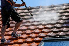 Benefits of Hiring Professional Roof Cleaning Services in Homestead

RCM is the leading roof cleaning and restoration company in Homestead. We have over a decade of experience in the industry, and we're dedicated to providing our clients with quality services that exceed their expectations. Our unique approach to roof cleaning ensures that your property will be restored to its original condition, and our team of experienced professionals is always available to answer any questions you may have. Contact us today for a free consultation!

For more info:-https://www.roofcleaningmiami.net/