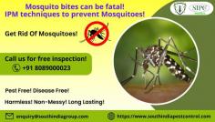 SIPC, a leading pest control company in Bangalore, offers a wide range of mosquito control Bangalore to suit your specific needs. Our experienced and loyal team of experts uses the latest methods and equipment to get rid of mosquitoes from your premises. Our services are affordable and offer long-term safety from mosquitoes. Call us now for your mosquito control needs!
Call: 8089000023
Visit: https://www.southindiapestcontrol.com/mosquito-control-bangalore/
