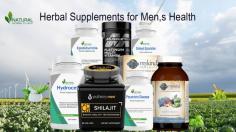 Herbal Supplements for Men’s Health Diseases are very effective for people who are suffering from different kinds of Men’s Health Diseases.
