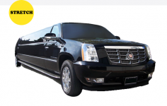 Chicago Black Car Services owns a fleet of luxury vehicles that are meant to make your trip safe and enjoyable. Since these are driven by experienced drivers, there will be no glitches during your trip. Opt for our special day Car service if you are scheduled to attend any event or meetings. Visit the website or dial (312) 383 9384 for information!   
See more: http://www.chicagoblackcarservice.com/services/
