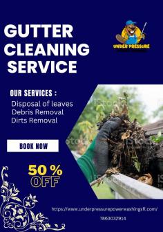 https://www.underpressurepowerwashingsfl.com/gutter-cleaning
If you are in need of a gutter cleaning and power washing service, you will want to be sure that you find a reputable and reliable company that can provide you with top-quality service. There are many different companies that offer gutter cleaning services, but not all of them are created equal. You will want to be sure that you find a company that has a good reputation and that is able to provide you with the services that you need. In addition, you will want to be sure that you find a company that is affordable and that offers a discount for new customers.