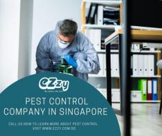 Pest Control & Pest Management Company Singapore | EZZY

osquitoes and bed bugs are two of the most common pests in Singapore. Mosquitoes are attracted to places with stagnant water, so they are often found near drains or in swampy areas. Bed bugs, on the other hand, are attracted to human beings and can be found in homes, hotels, and other places where people sleep.

Visit This Page: https://www.ezzy.com.sg/
