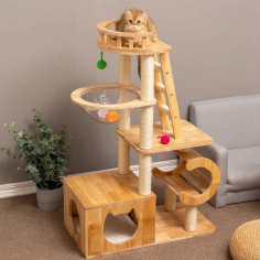 Wooden Cat Tree

Wooden cat tree is one of the most brilliant wooden accessory for the cats and they will rightly meet your needs because they play with these trees. 

Visit us:- https://petomg.com/