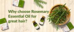 Rosemary has been a part of the Mediterranean lifestyle for centuries. It derives its name from two Latin words, ‘Ros’ which means dew and ‘Marinus’ which means the sea. Hence, the literal translation of Rosemary becomes ‘dew of the sea’.