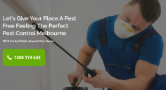 Top Quality Pest Control in Beveridge: Albazi Pest Control has been a trustworthy and prominent pest company and also firm based in Melbourne. Not only do we provide our high quality solutions in Melbourne city, yet also Northern suburbs of Melbourne as well as including Beveridge . We have a group of specialised pest technician mobile systems prepared to take on any type of domestic or business task. https://albazipest.com.au/pest-control-epping/