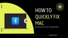 In terms of wireless communication, Mac Bluetooth has been a game-changer. Bluetooth makes everything possible, from transferring data to using wireless headphones. Apple Bluetooth has also evolved over time in terms of what it can be used for. Throughout this guide, we’ll talk about Bluetooth devices not showing up on Mac and Magic Mouse not connecting. Additionally, if you want to learn how to resolve Mac Bluetooth not working issues, continue reading. 
Table of contents: 
1.	What is the cause of Bluetooth not working on Mac?
2.	The best way to fix Mac Bluetooth problems 

Read the full blog here: https://www.soldrit.com/blog/how-to-quickly-fix-mac-bluetooth-not-working/ 
