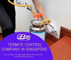 Local Termite Control | Ezzy Pest Control Singapore

Termite control is an important aspect of home maintenance in Singapore. Termite infestations can cause serious damage to buildings and furniture, costing homeowners large sums of money in the long run. As such, it's vitally important to be aware of drywood termites risk, which is one of the most common species found in Singapore and Southeast Asia. Termite treatment should include regular inspections and preventative measures such as sealing potential entry points, removing water leaks, and avoiding wood that is too damp or moist. For those living in high-risk areas where subfloor spaces are likely to harbor drywood termites Singapore, Termite Control Singapore offers extensive solutions from visual inspections to liquid treatments for any affected area. By addressing these infestation risks head-on with a reliable Termite Treatment provider, homeowners will have peace of mind knowing that their property is safe from destructive pests.

Look at this now: https://www.ezzy.com.sg/