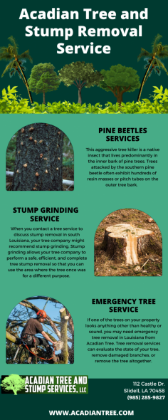 Tree Removal Bay St. Louis | Acadian Tree and Stump Removal Service 

Pruning should be done with an understanding of how the tree responds to each cut. Improper pruning can cause damage that will last for the life of the tree or worse, shorten the trees life. In such a situation, you should take the help of Tree Removal Bay St. Louis for the best tree care services. 

Visit website - https://acadiantree.com/tree-care-tips/